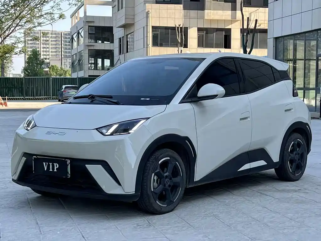 BYD Seagull 2024