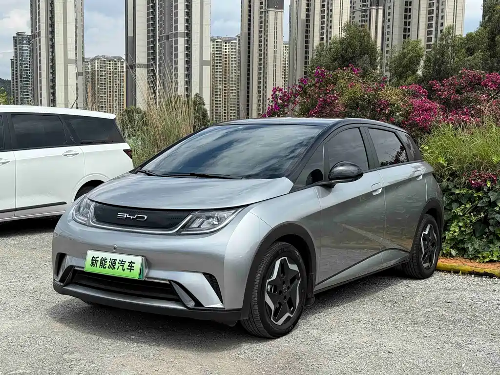 BYD Dolphin 2022