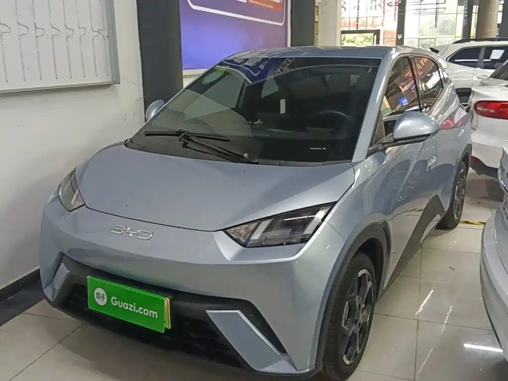 BYD Seagull 2024