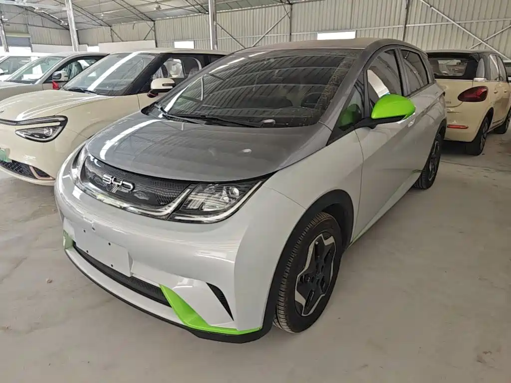 BYD Dolphin 2021