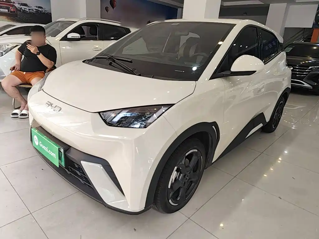 BYD Seagull 2024