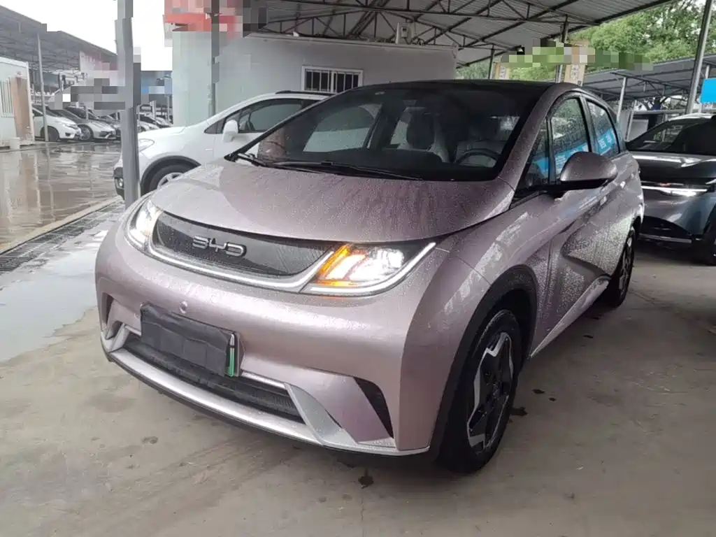 BYD Dolphin 2022