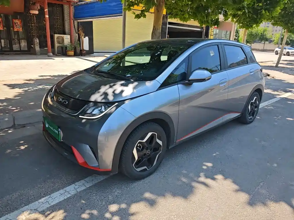 BYD Dolphin 2022