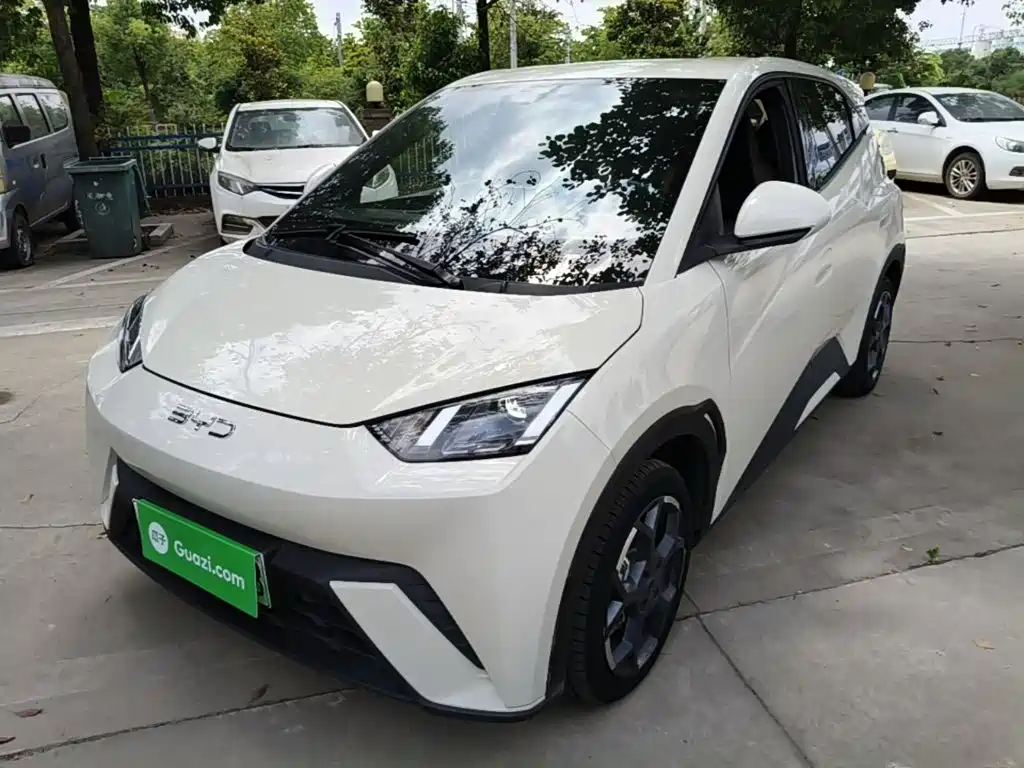 BYD Seagull 2024