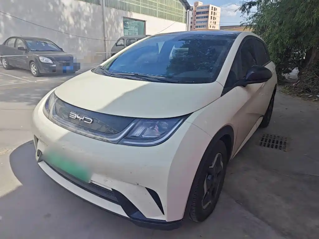 BYD Dolphin 2022