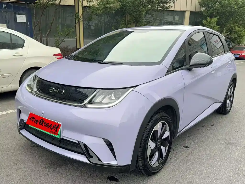 BYD Dolphin 2024