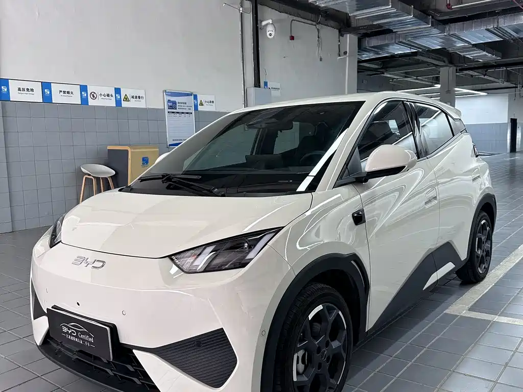 BYD Seagull 2025