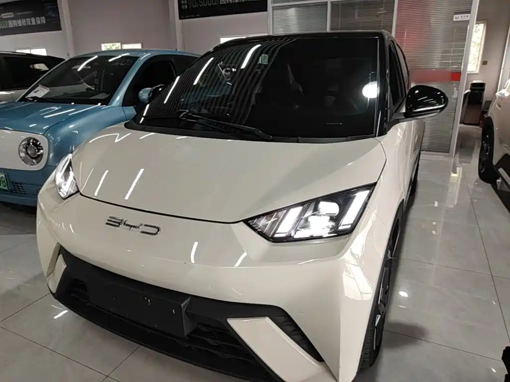 BYD Seagull 2024