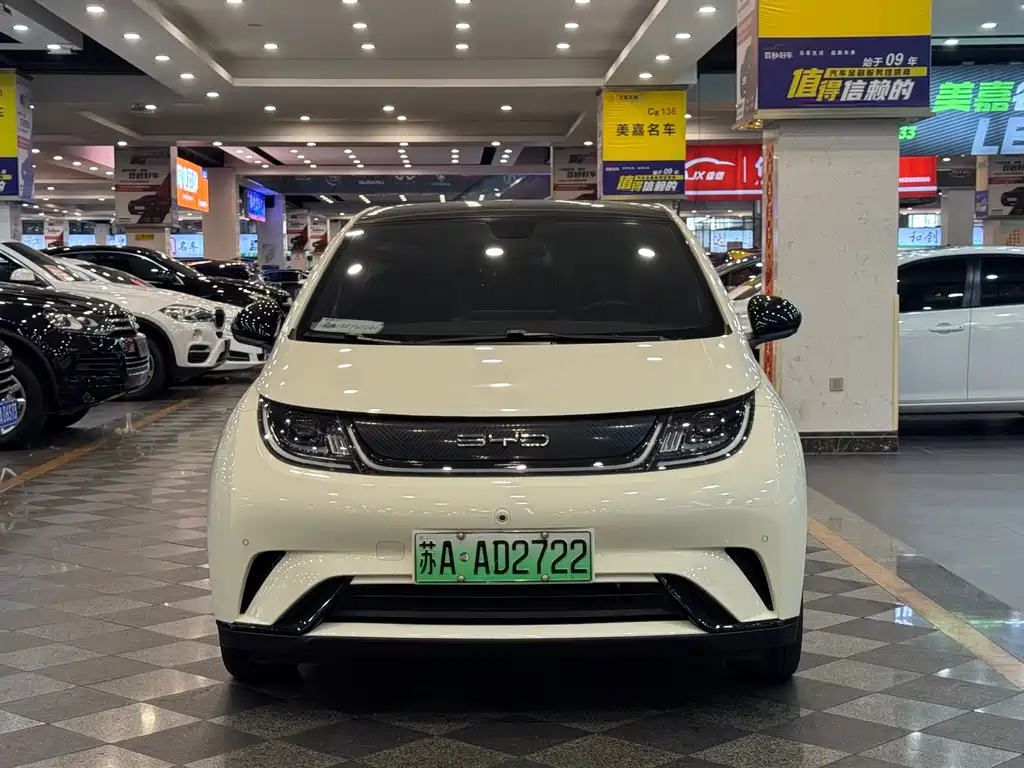 BYD Dolphin 2024