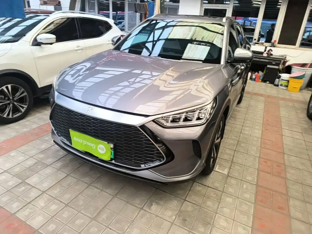 BYD PLUS New Energy 2021