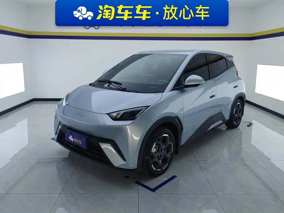 BYD Seagull 2024
