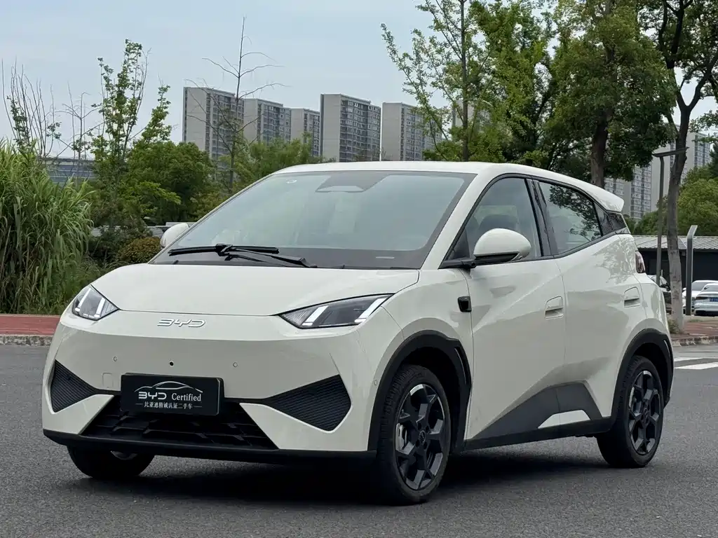 BYD Seagull 2025