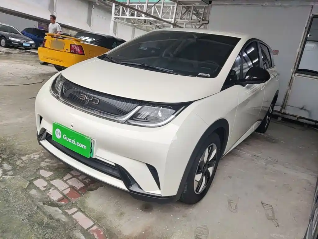 BYD Dolphin 2025