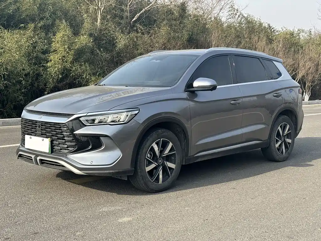 BYD Pro New Energy 2024
