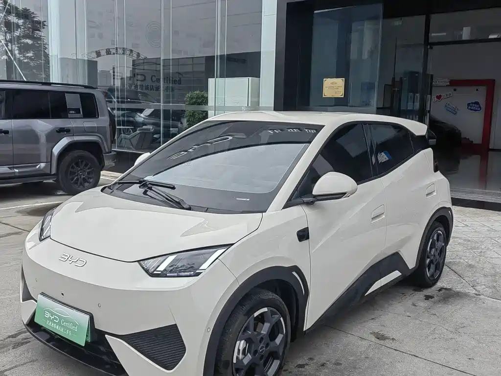 BYD Seagull 2025