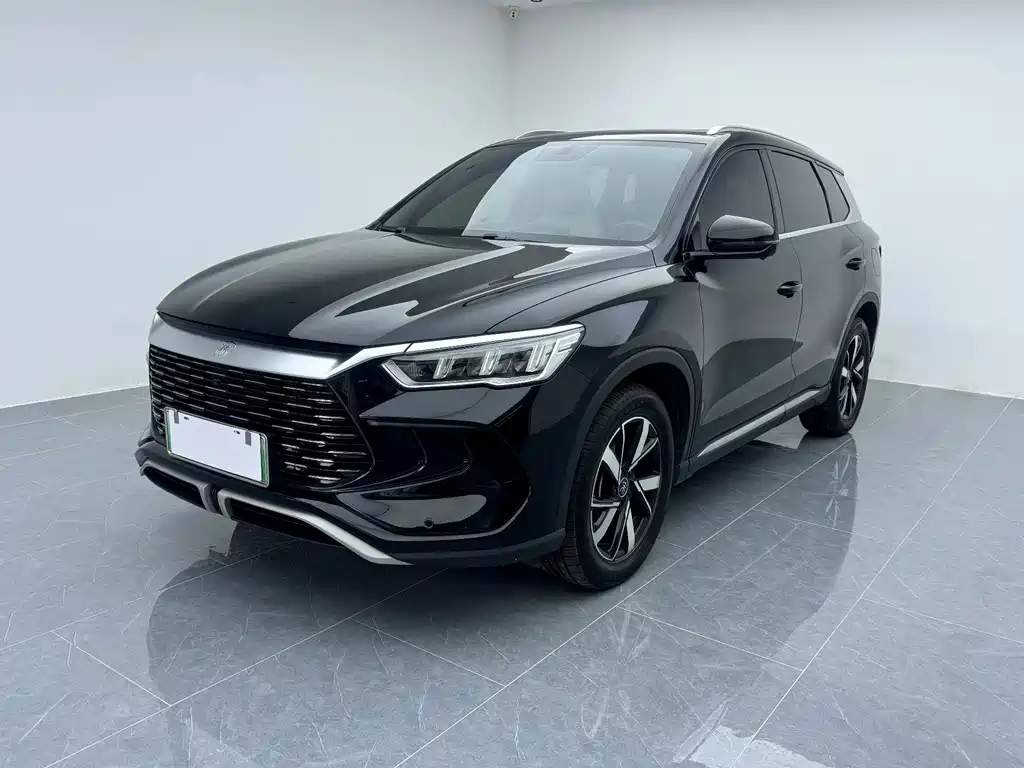 BYD Pro New Energy 2024