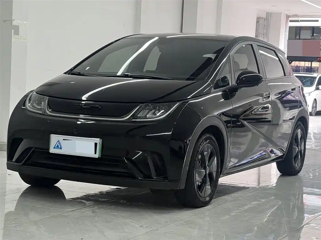 BYD Dolphin 2024