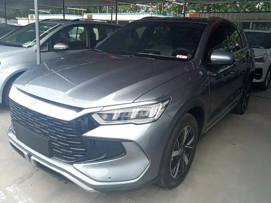 BYD Pro New Energy 2024