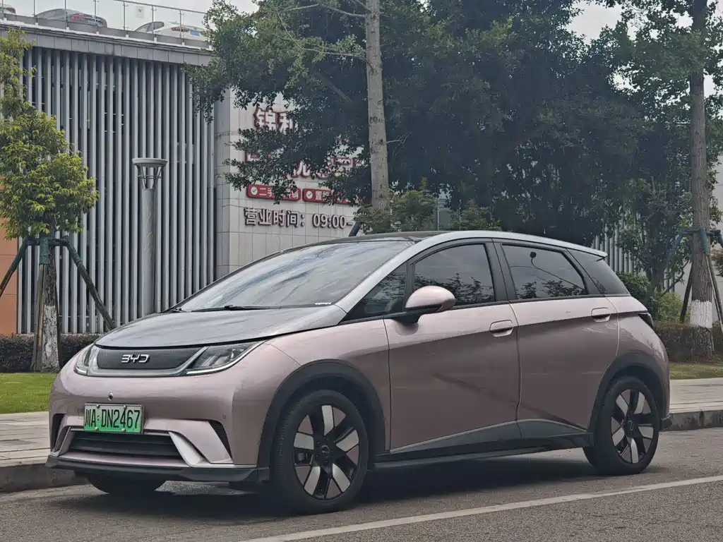 BYD Dolphin 2024