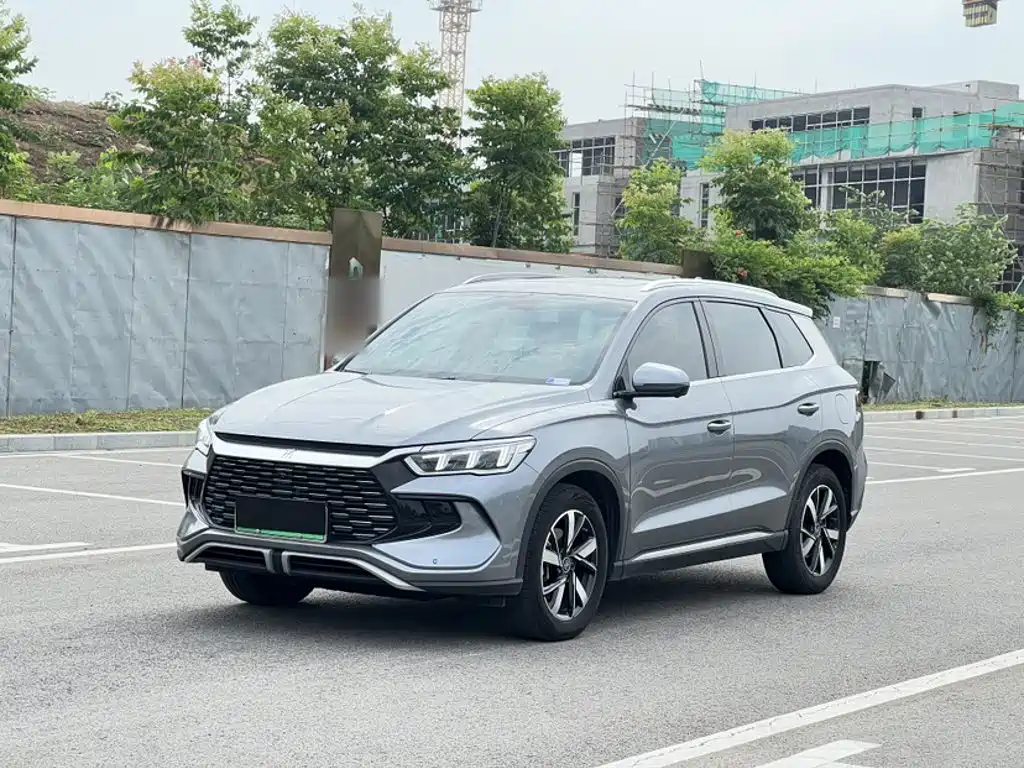 BYD Pro New Energy 2025