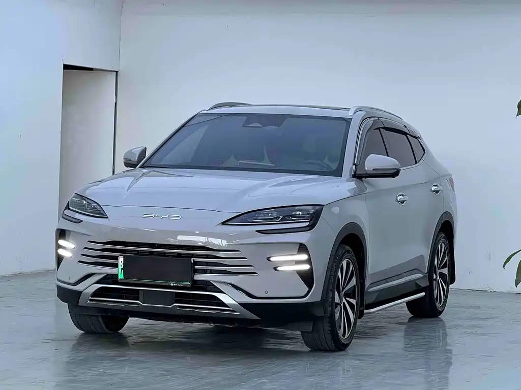 BYD PLUS New Energy 2024