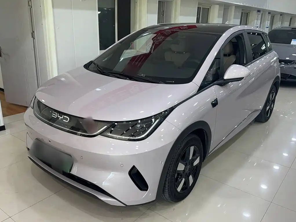BYD Dolphin 2025