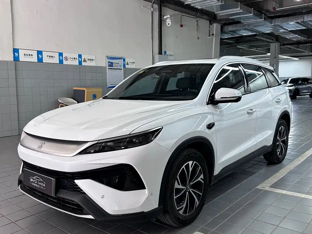BYD Pro New Energy 2025