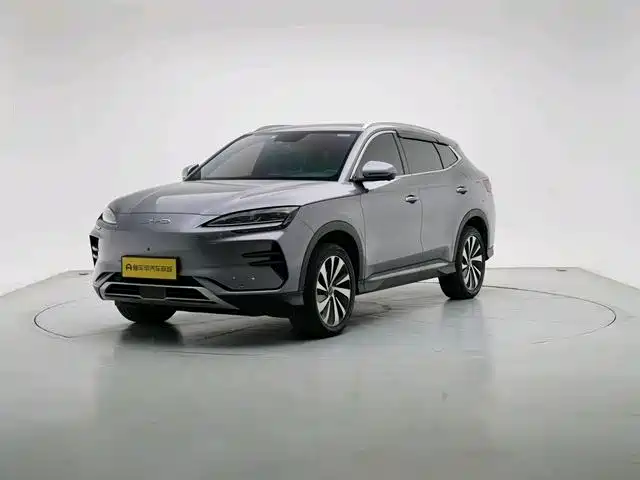 BYD PLUS New Energy 2024