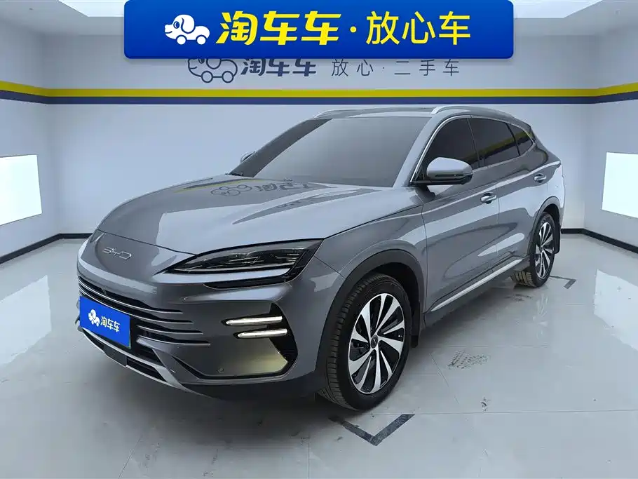 BYD PLUS New Energy 2024
