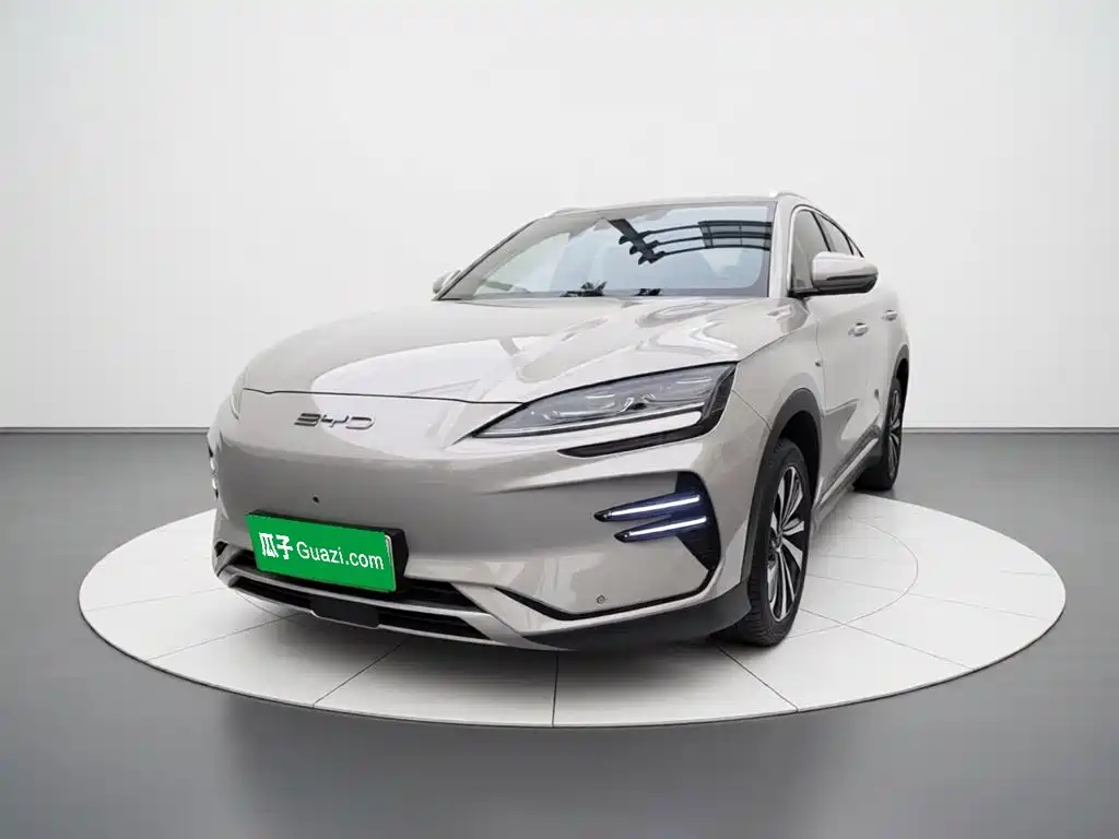BYD PLUS New Energy 2024