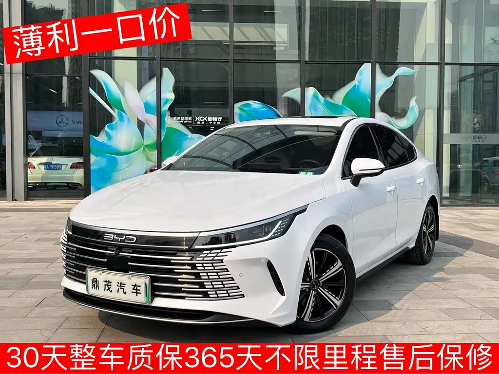 BYD Destroyer 05 2022
