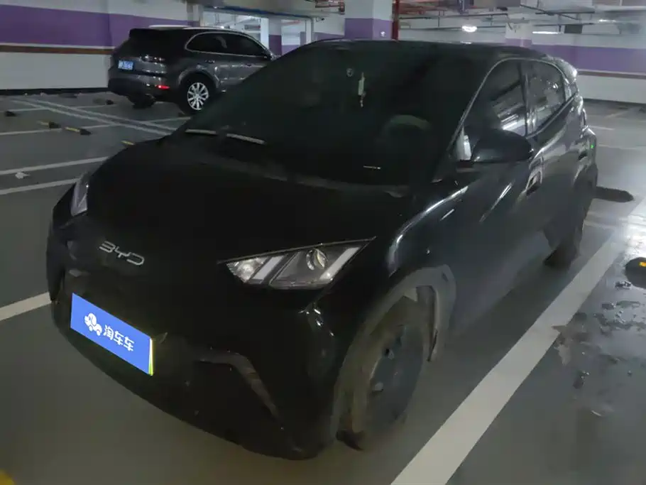 BYD Seagull 2024