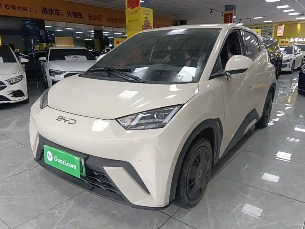 BYD Seagull 2024