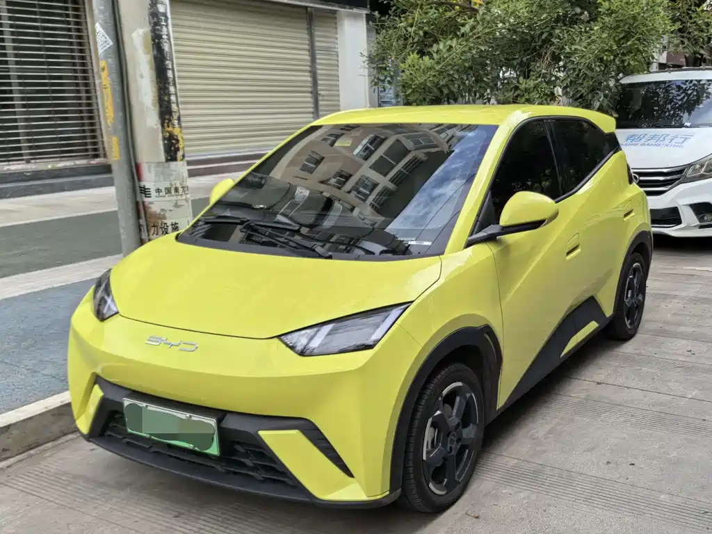 BYD Seagull 2024
