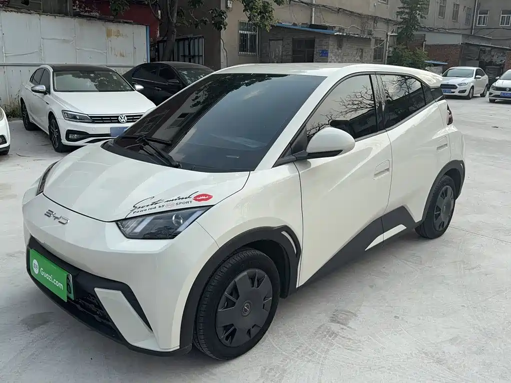 BYD Seagull 2024