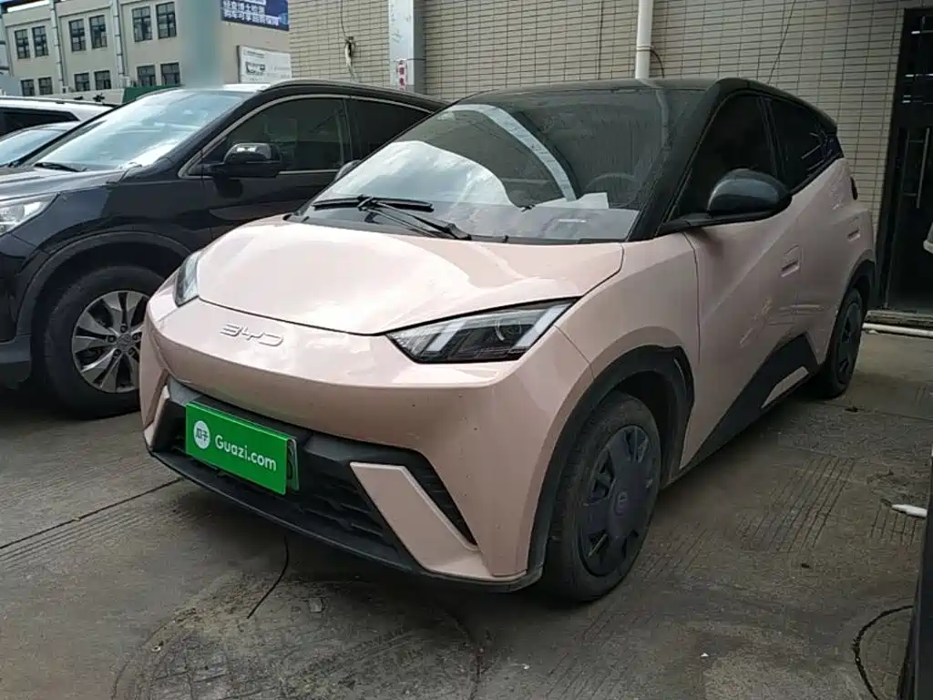 BYD Seagull 2024