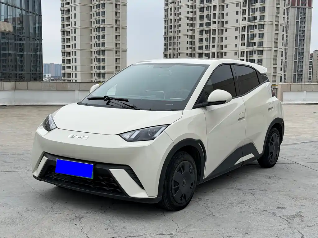 BYD Seagull 2024
