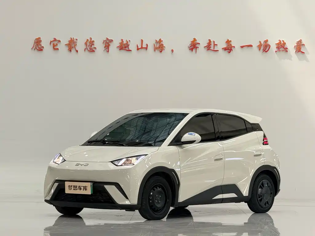 BYD Seagull 2025