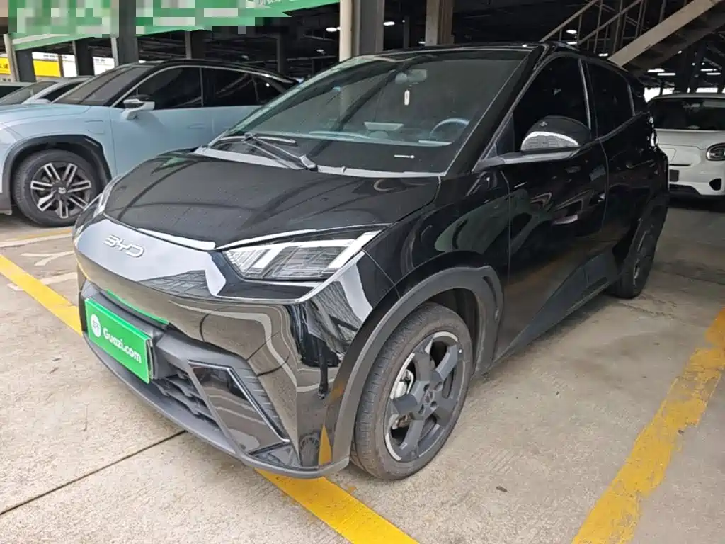 BYD Seagull 2024