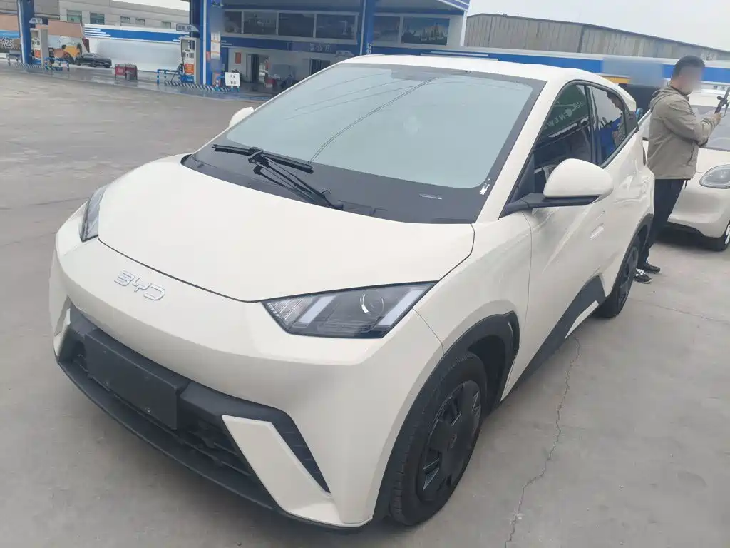 BYD Seagull 2024