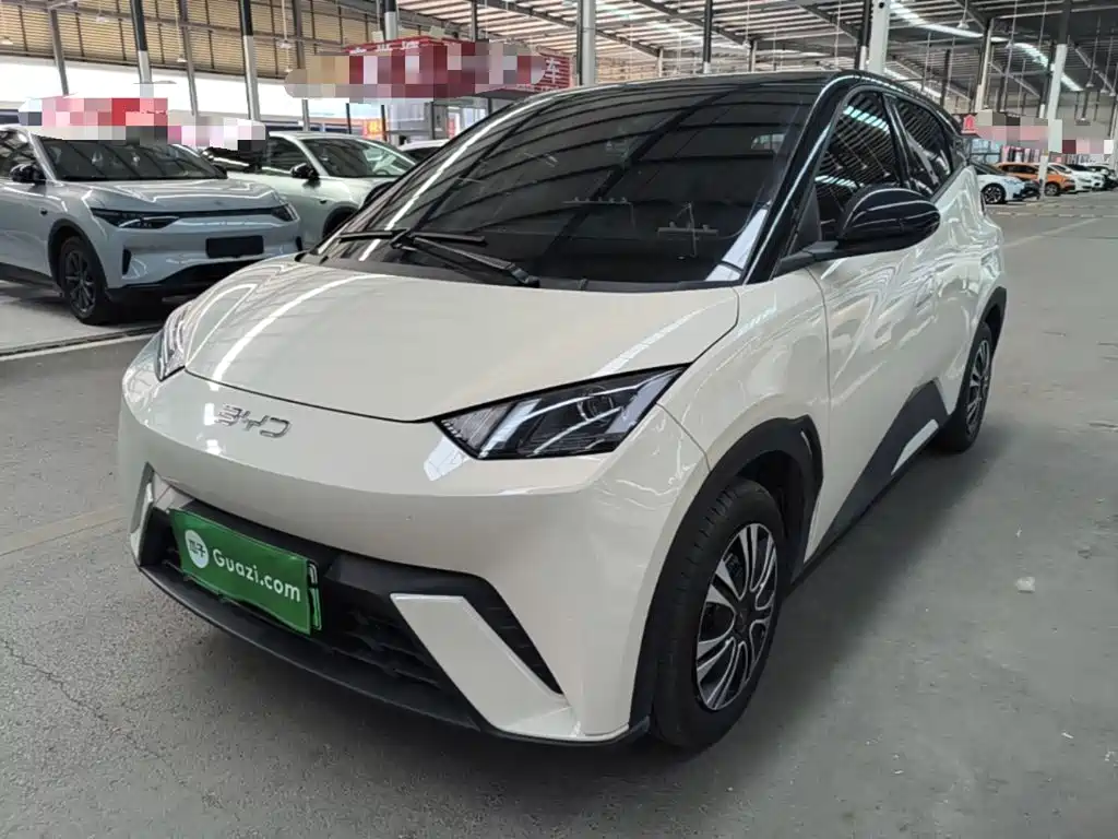 BYD Seagull 2025