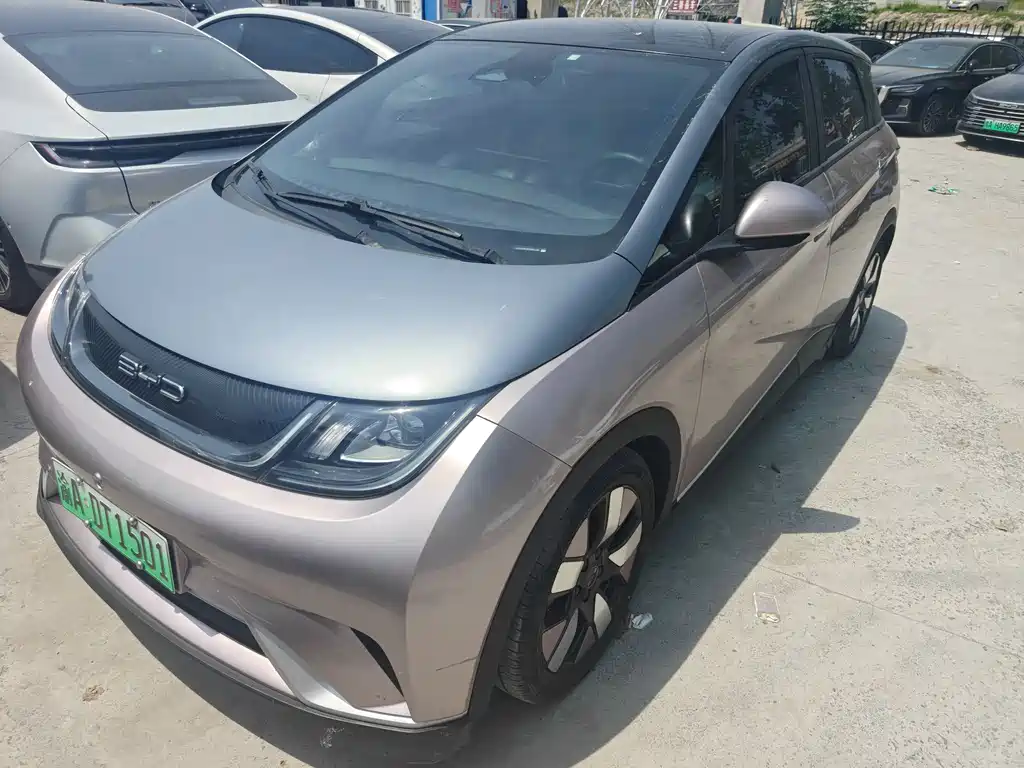 BYD Dolphin 2022