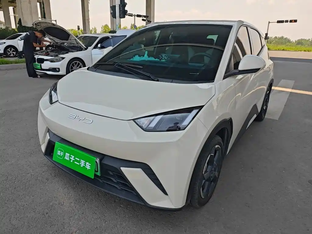 BYD Seagull 2024