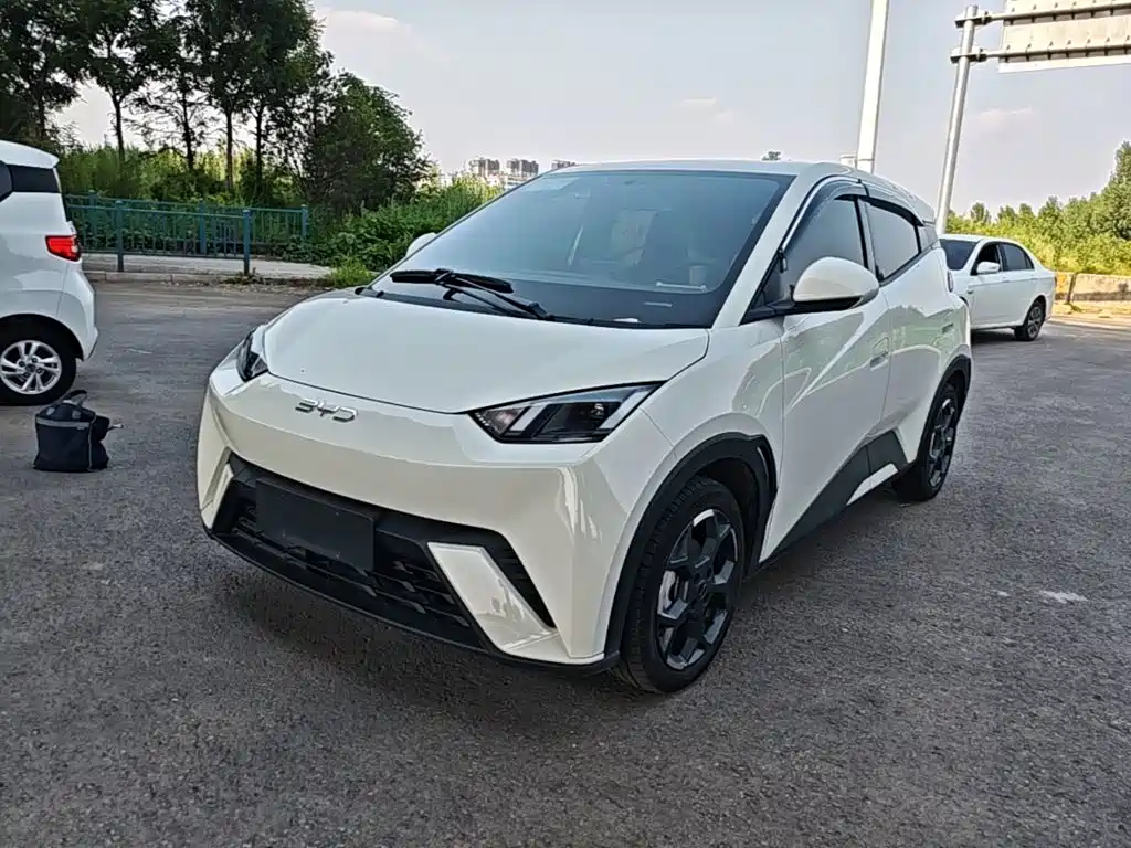 BYD Seagull 2025