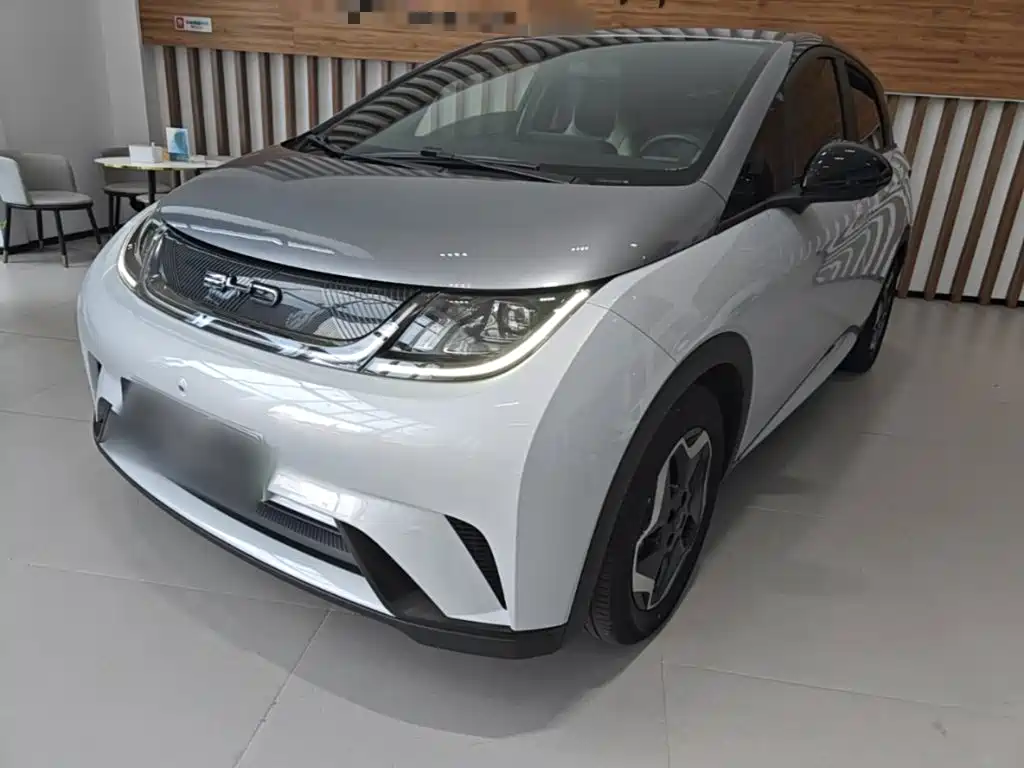 BYD Dolphin 2022