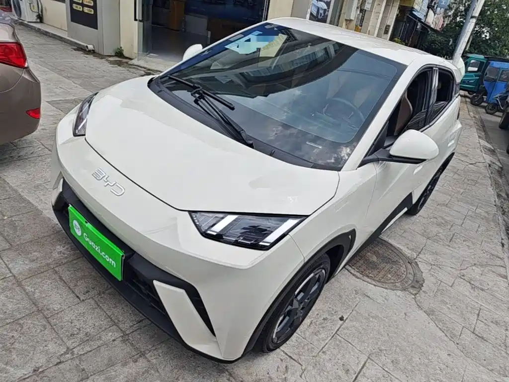 BYD Seagull 2024