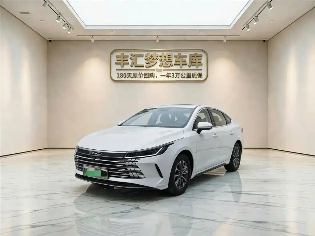 BYD Destroyer 05 2024
