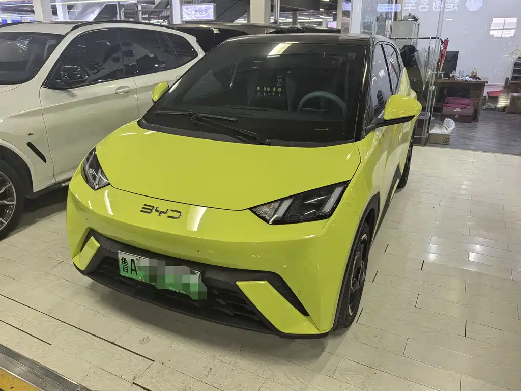 BYD Seagull 2024