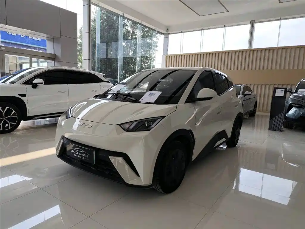 BYD Seagull 2025