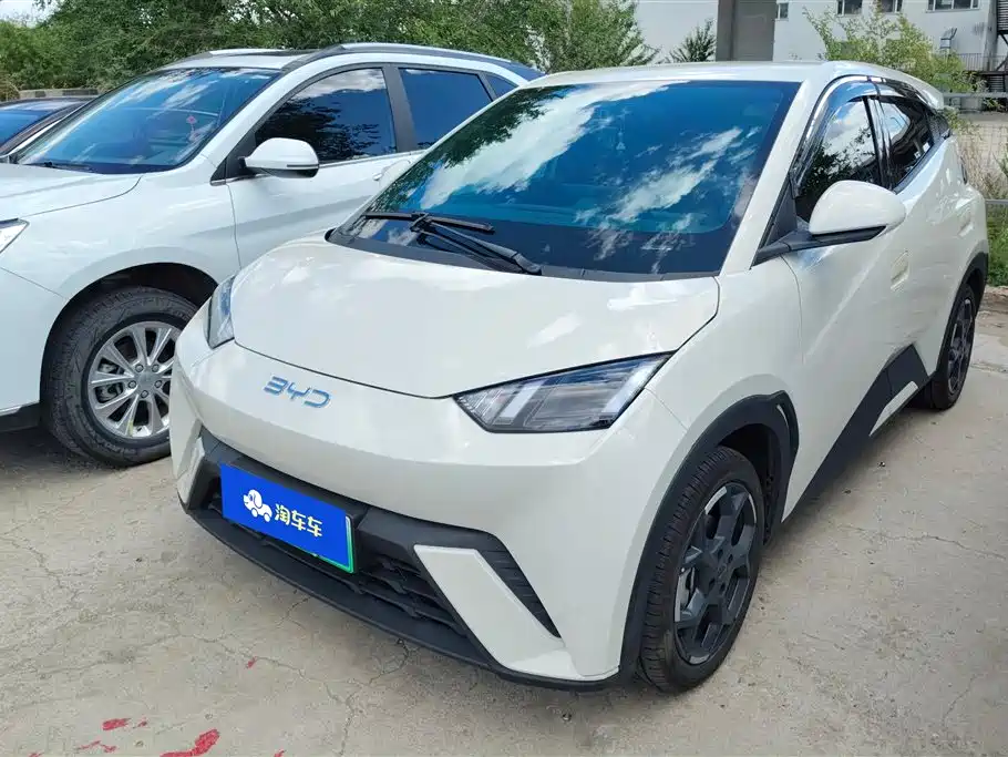 BYD Seagull 2024